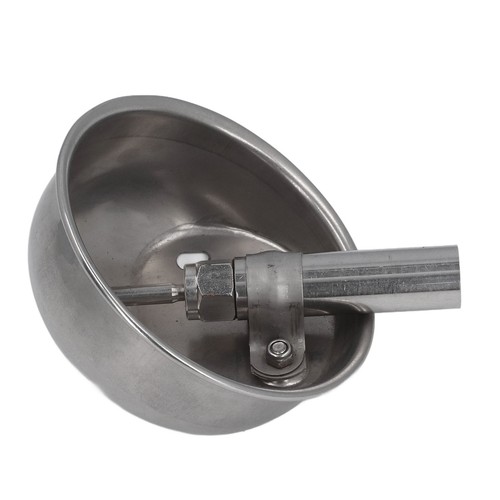 Cow drinking water bowl - cow,