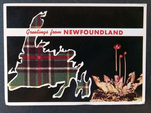 Postcard greetings from new - from,