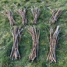 30x 90cm Willow cuttings