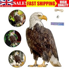 2D Hawk Bird Scarer Set Pigeon Deterrent & Tape for Home Roof Pond Garden 2025