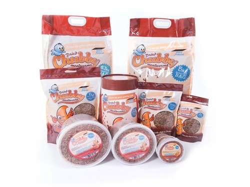 Chubby dried mealworms wild - chubby,
