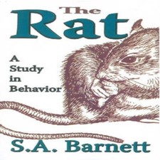 The Rat A Study in Behavior S