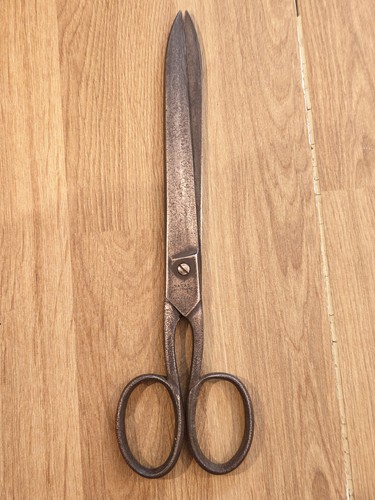 Antique taylor eye witness - eye,