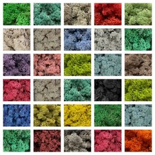 Natural Norwegian Reindeer Moss Preserved Dried Craft Flower Stamen Decoration