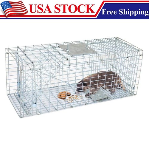 Live animal trap extra large - live,