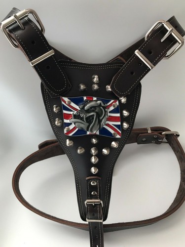 Bulldog - ,