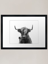 Mr Highland cattle Framed Art