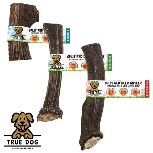 Split wild antler dog - wild,