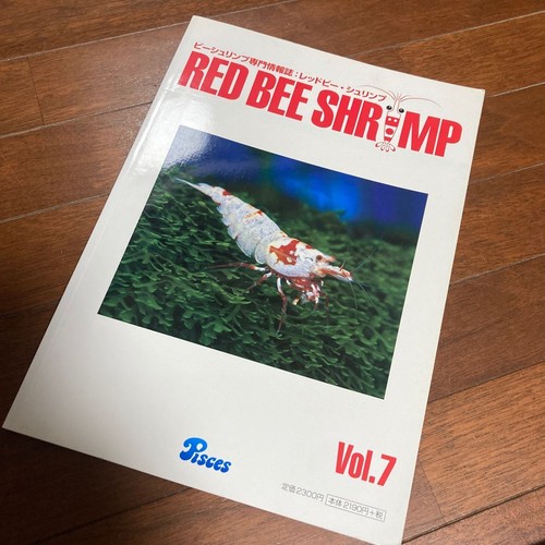 B054 red bee - b054, magazine