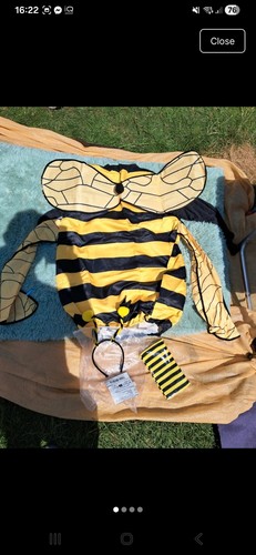 Bee fancy dress - dress, size