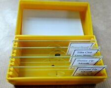 4 Prepared Microscope Slides Brand New 2 Vegetation,2 Insect in Plastic Box(No8)