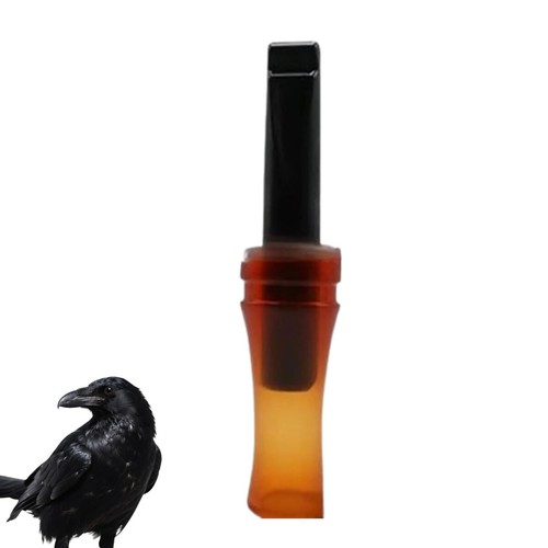 Outdoor crow rook - rook, call
