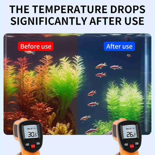Mini fish tank - mini, quiet
