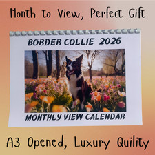 Border Collie 2026 wall