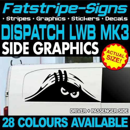 Fits citroen dispatch - fits, graphics