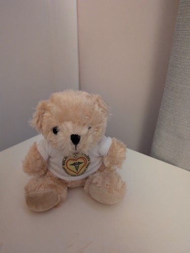 Regal toys small plush teddy - regal,