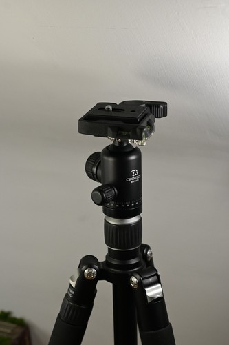 Giottos vgrn 9255 - vgrn,