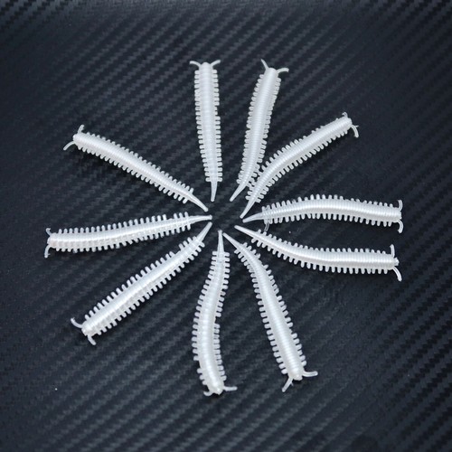 Ragworm bristle lug worm - bristle,