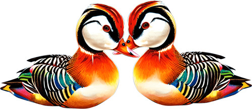 Mandarin ducks couple - ducks, bedroom