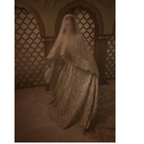Embellished silver bridal - silver,