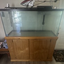 Visio Rectangle Glass Fish