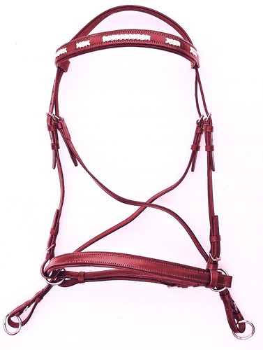 Bitless bridle crossover - bitless,