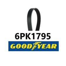 Poly-V Belt Alfa Romeo - Fiat