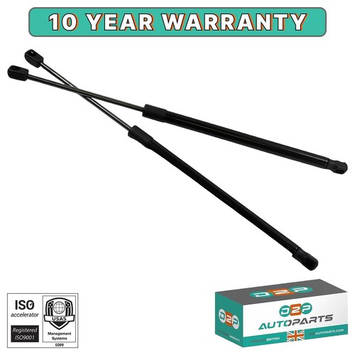 Tailgate boot gas - boot, struts