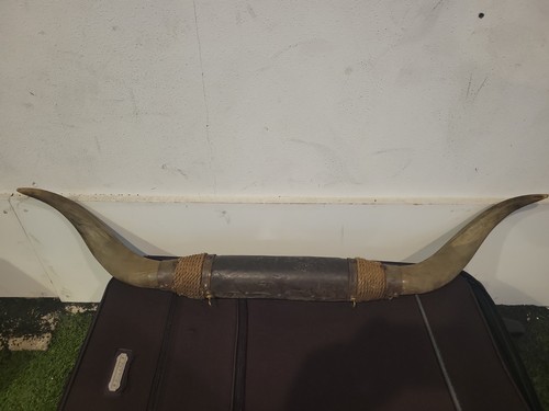 Vintage bull horns decor - horns, ,