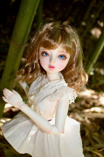 Bjd doll legit hani dollsn - doll,