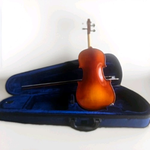 Violin with case - 4/4,