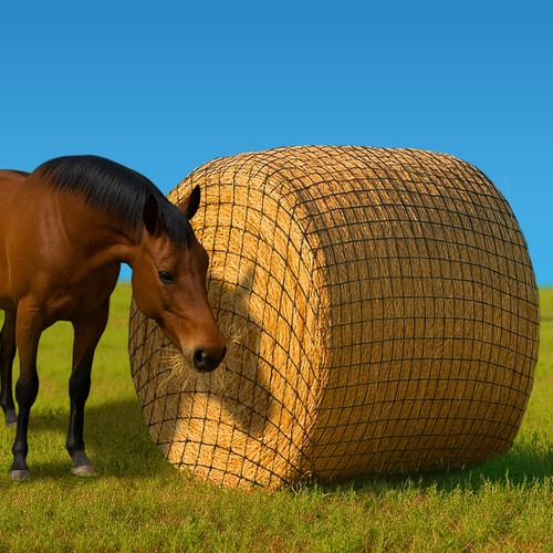 5x5 round bale hay net - hay, for