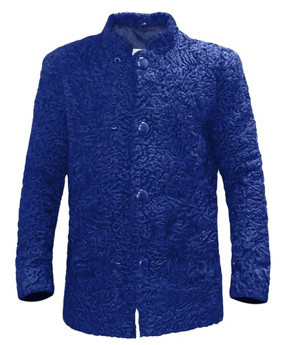 Blue real persian - lamb, fur