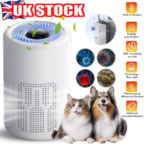 Air purifiers for large - air,