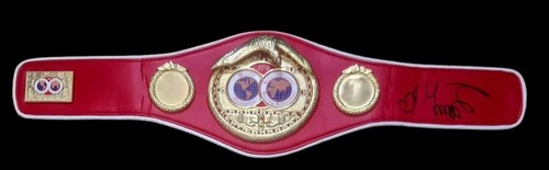 Oleksandr usyk undisputed - undisputed, hand