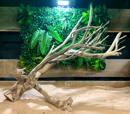 Talawa wood aquascaping - wood,
