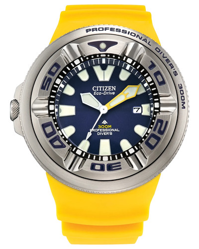 New citizen promaster dive - promaster,