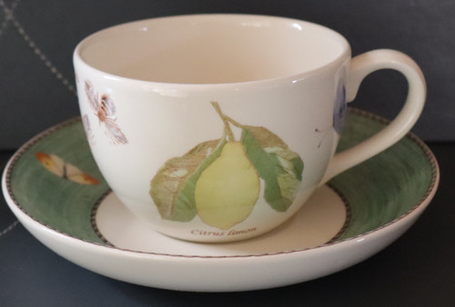 Wedgwood sarah garden - sarah's, citrus