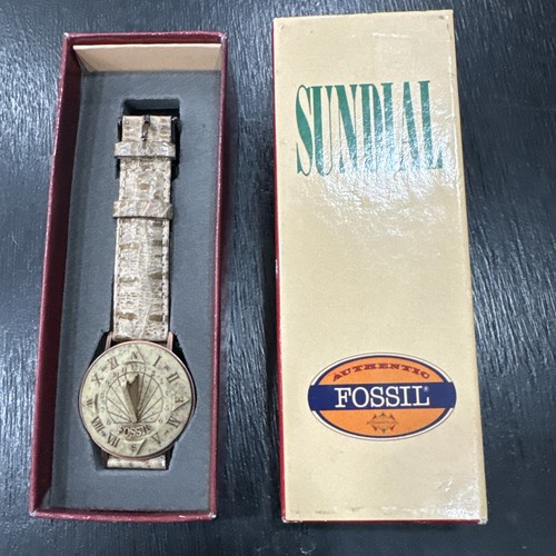 Vintage collectible fossil - collectible,