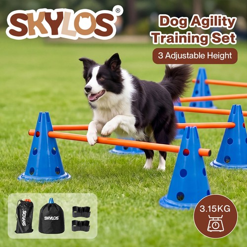 Skylos dog agility training - skylos,