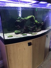 FLUVAL Vicenza  4ft Bow Front