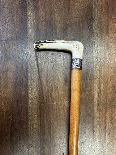Antique staghorn antler - antique,