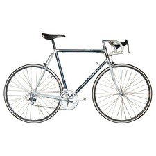 56CM RALEIGH CRONOS TITANIUM