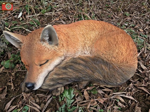 Sleeping fox figure largest - fox,