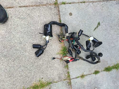 Main wiring loom harness for - wiring,
