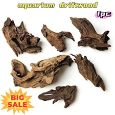 1xMicro Landscape Decoration