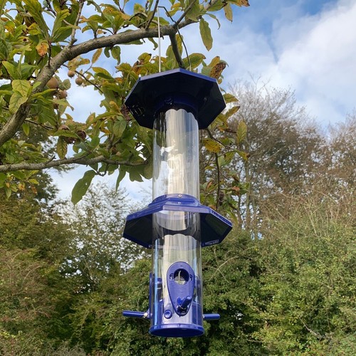 Squirrel proof hanging - squirrel,