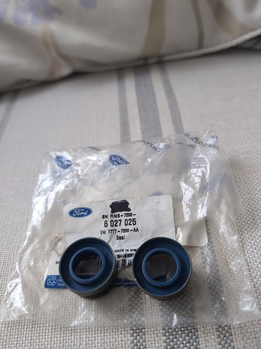 Ford gearbox seal - bc, selector