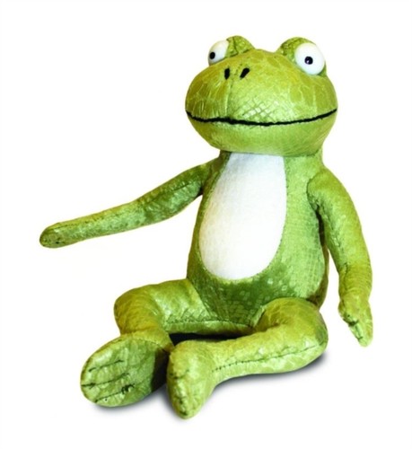 Room the broom - on, frog