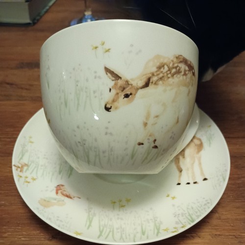 The national trust fine china - the,